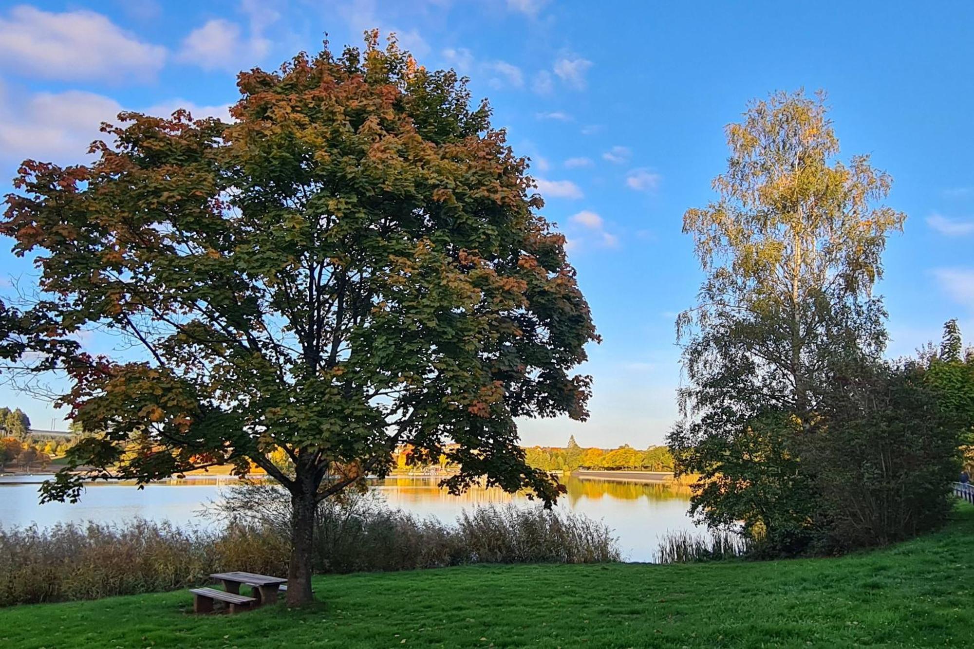 Draussen Am See Losheim Extérieur photo